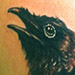 Tattoos - Raven on Bobcat Skull Tattoo - 56923